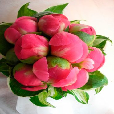 Bouquet Peonías 1