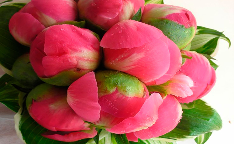 Bouquet Peonías 1