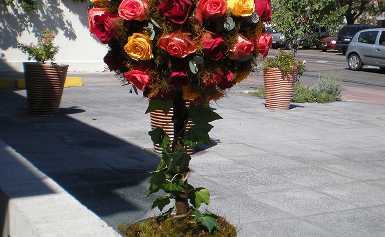 Arbol Bola 1