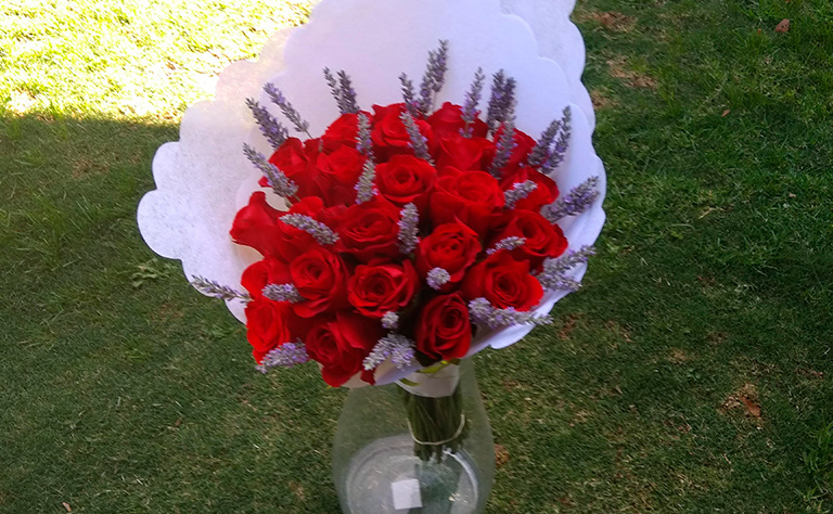 Rosas Rojas Ecuatorianas 1