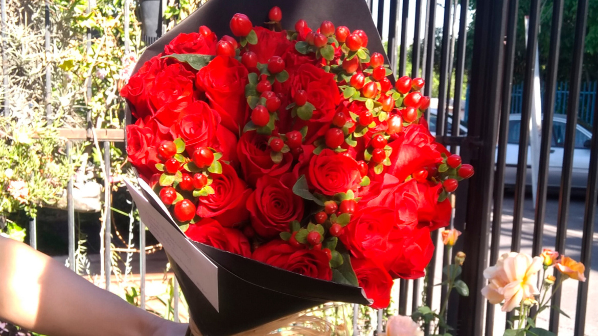 Rosas Rojas Ecuatorianas 2