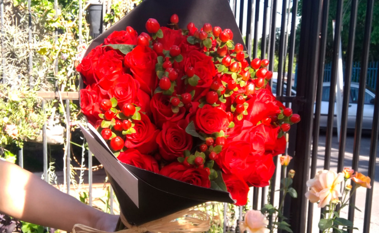 Rosas Rojas Ecuatorianas 2