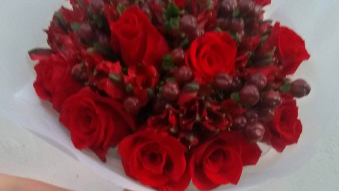 Rosas Rojas Ecuatorianas 5