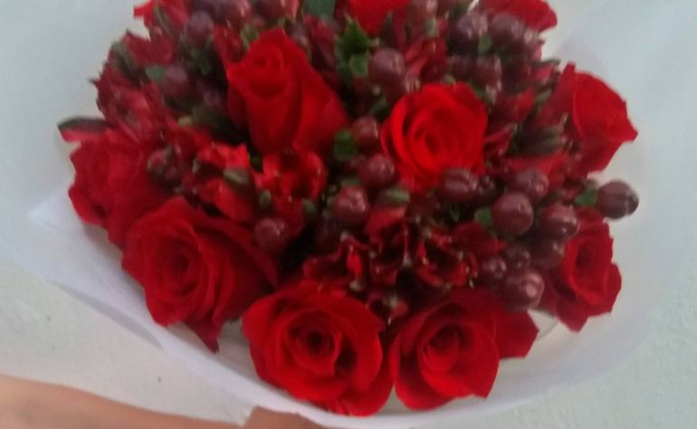 Rosas Rojas Ecuatorianas 5