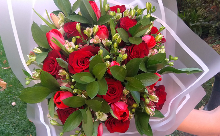 Rosas Rojas Ecuatorianas 6