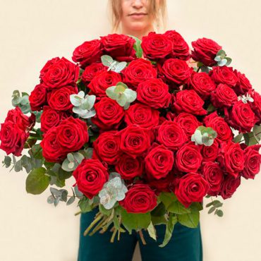 Rosas Rojas Ecuatorianas 7
