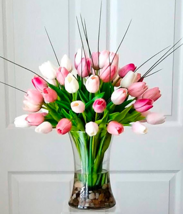 Tulipanes 1