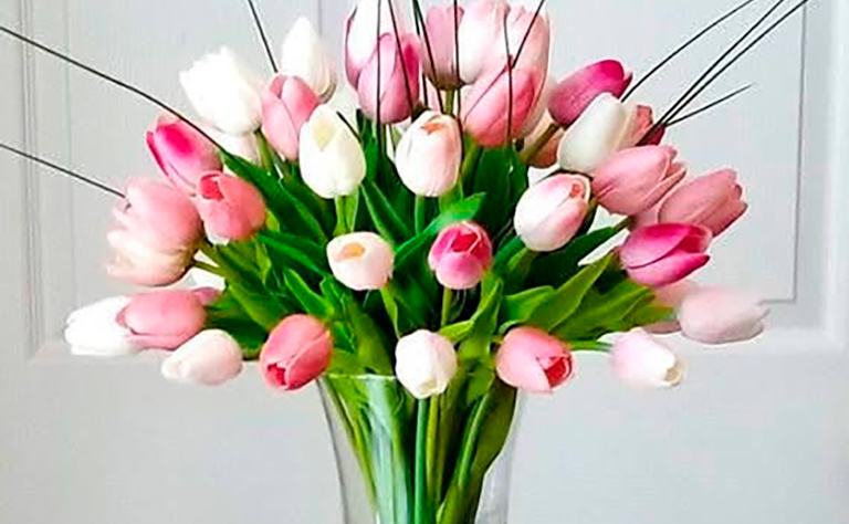 Tulipanes 1