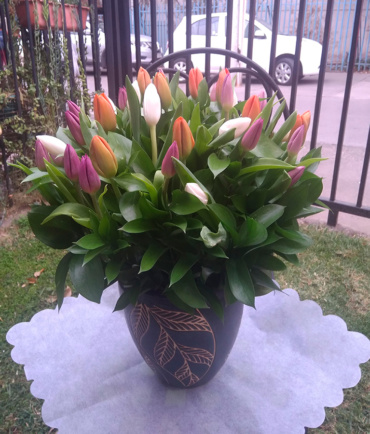 Tulipanes 10