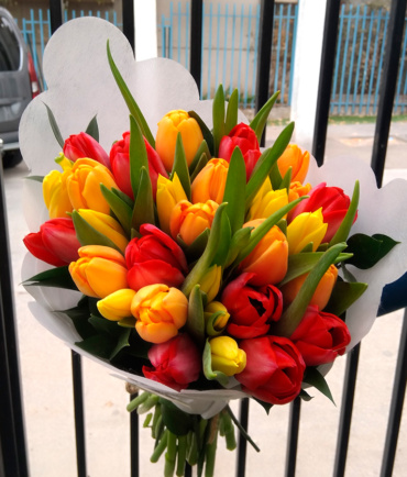 Tulipanes 12