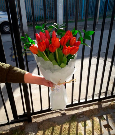 Tulipanes 13