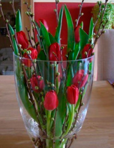 Tulipanes 2