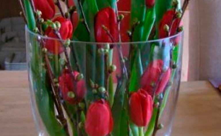 Tulipanes 2