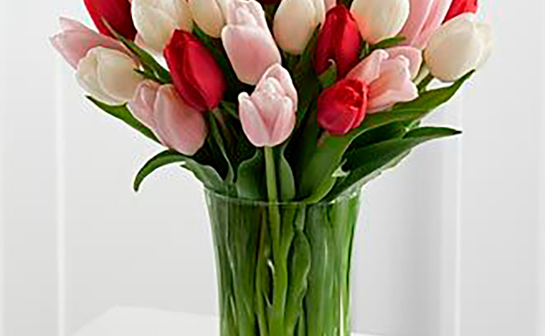 Tulipanes 4
