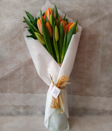 Tulipanes 5