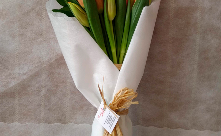 Tulipanes 5