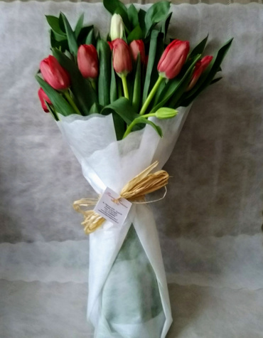 Tulipanes 6