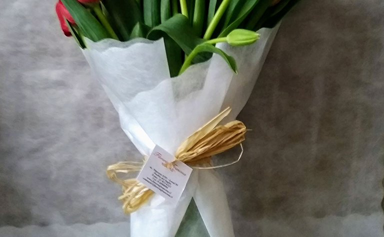 Tulipanes 6