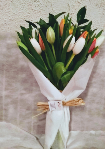 Tulipanes 7