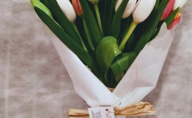 Tulipanes 7