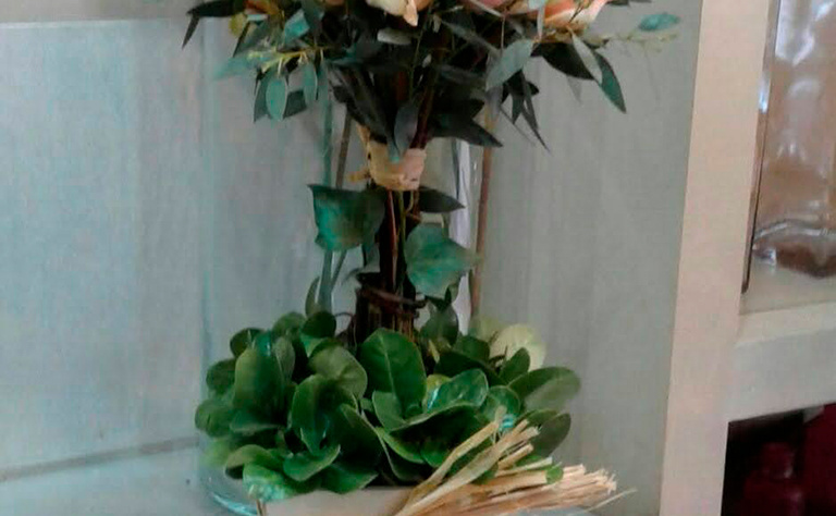 Arbol Piqué 3