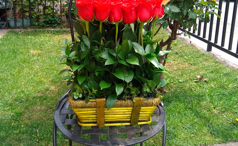 Composición 4