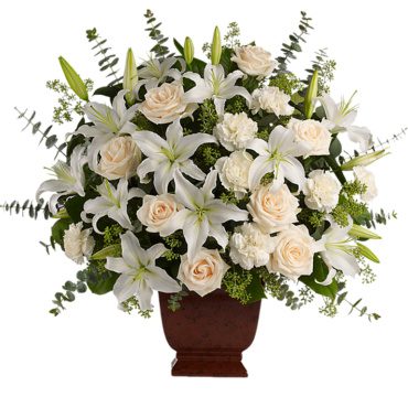 Condolencia 3