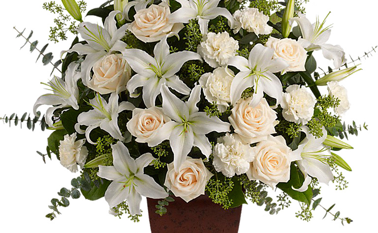 Condolencia 3