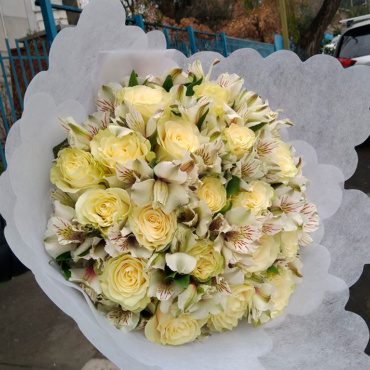 Condolencia 4