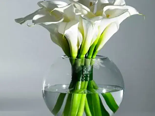 Florero 5