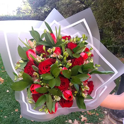 Rosa_ecuatoriana.webp